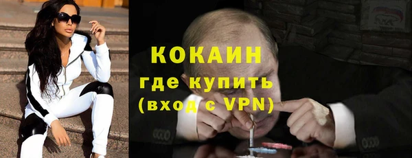 ECSTASY Алзамай