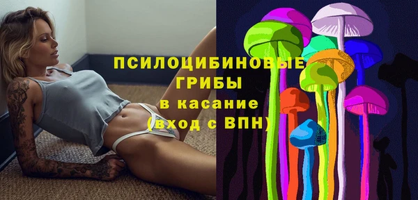 ECSTASY Алзамай