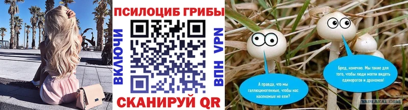 kraken рабочий сайт  Первоуральск  Псилоцибиновые грибы прущие грибы  наркошоп 