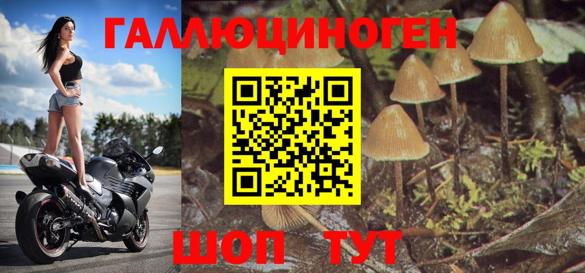 Первоуральск  Галлюциногенные грибы Psilocybe  Вход с VPN  Псилоцибиновые грибы GOLDEN TEACHER 